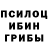 Галлюциногенные грибы мухоморы Egor Alexandrow