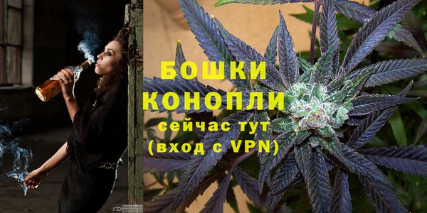 mix Белокуриха