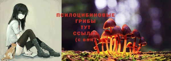 герыч Беломорск